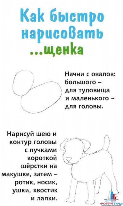 1-2 шаг как быстро нарисовать щенка