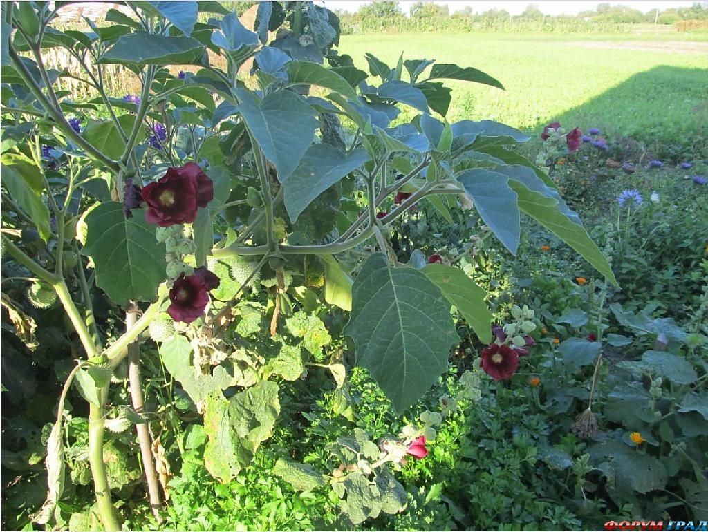 Отдых с детьми осенью.