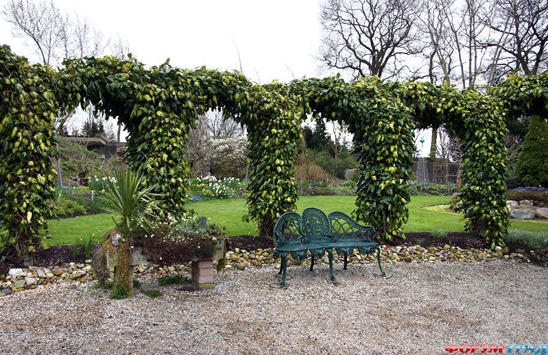 Сад Ады Хофман