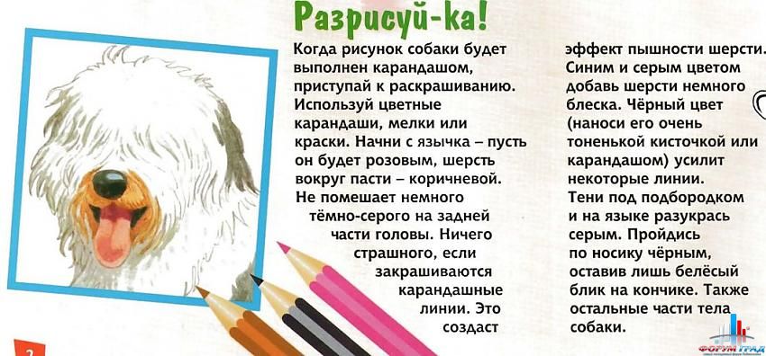 разрисовываем собаку