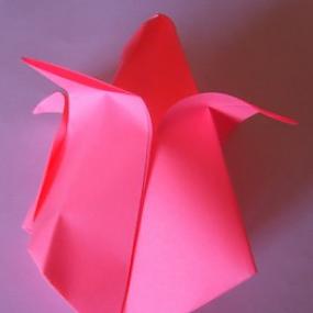 tylpan origami 11