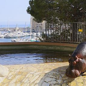 monaco-travel-041