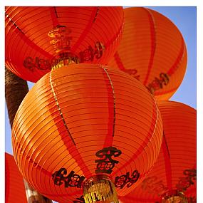 appeal-of-paper-lanterns-03