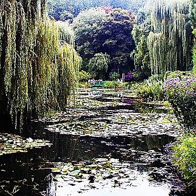 giverny-40855419