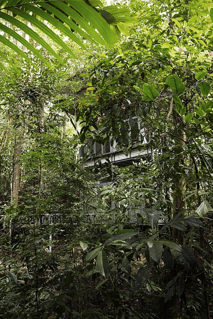 sekeping-serendah-02