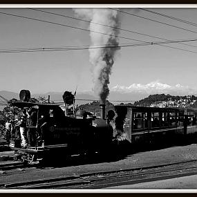 the-darjeeling-himalayan-railway---toy-train-331
