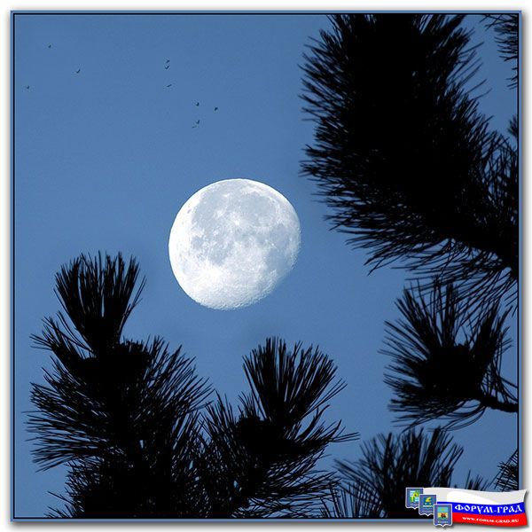 Солнце и луна