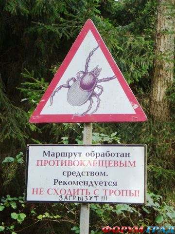 высота мюллера