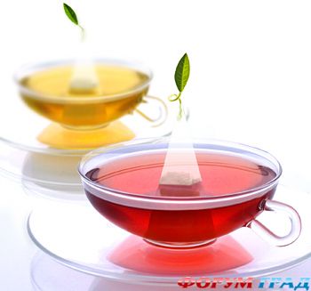 elekchay kak vybrat 1