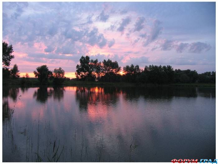 omsk3