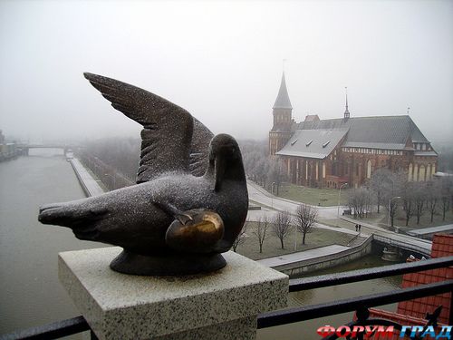 rybnaya derevnya kaliningrad 8