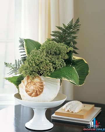 seashells-decor-ideas-nature6