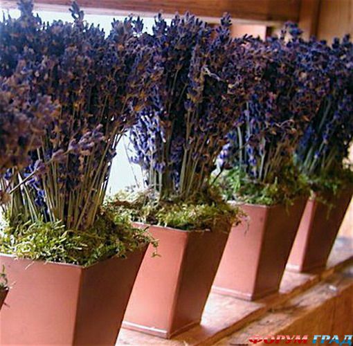 windowsill-decorating-ideas-similar-items1