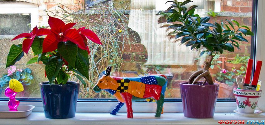 windowsill-decorating-ideas6