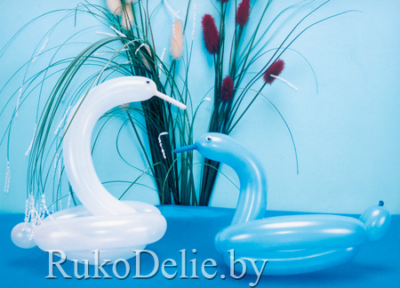 Лебедь и уточка из воздушных шариков