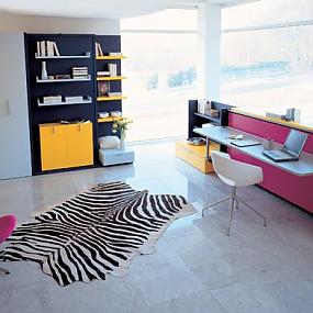 Colorful-contemporary-living-space-in-fuchsia
