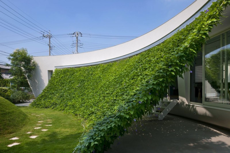 Green-Screen-House