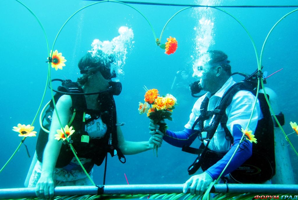 wedding-underwater-376