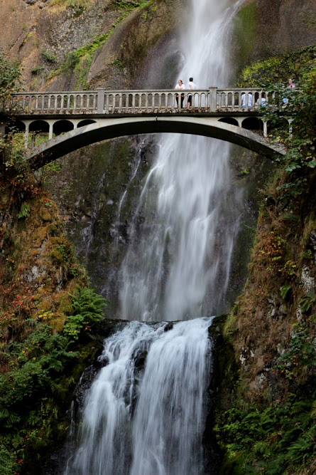 Самые красивые мосты мира