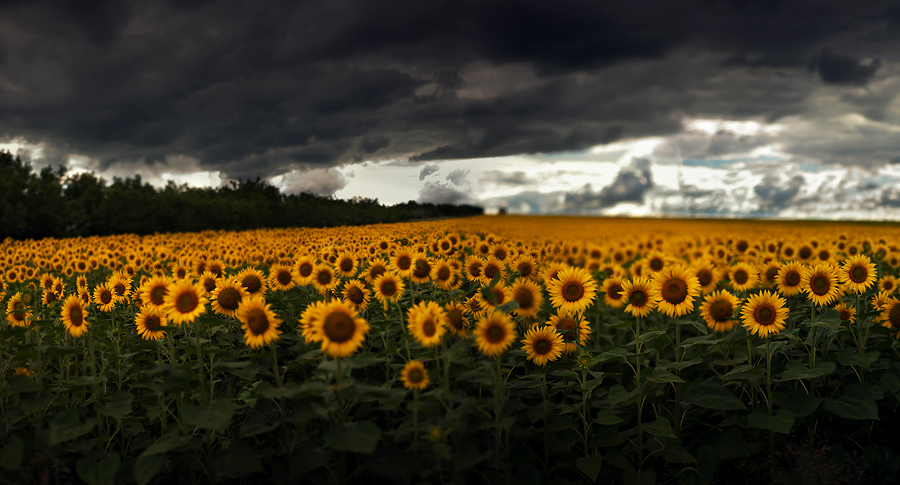 krasivie-mesta-mira-foto-47