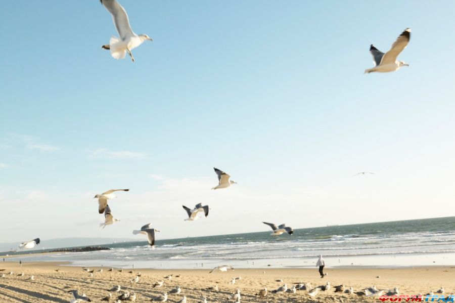 lithuania-travel-075