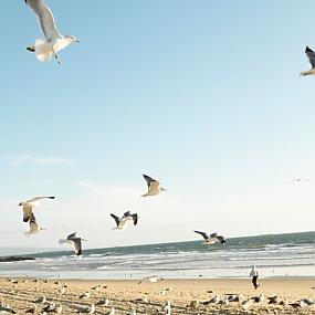 lithuania-travel-075