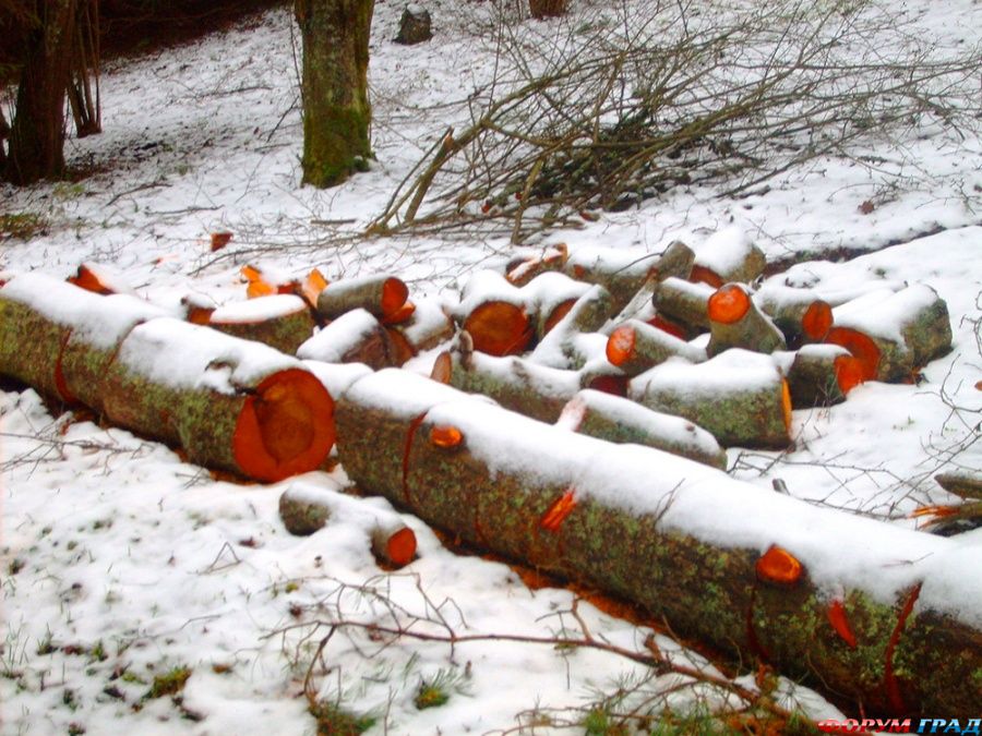 lithuania-travel-104 394705