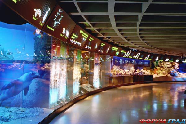 lithuania-travel-243