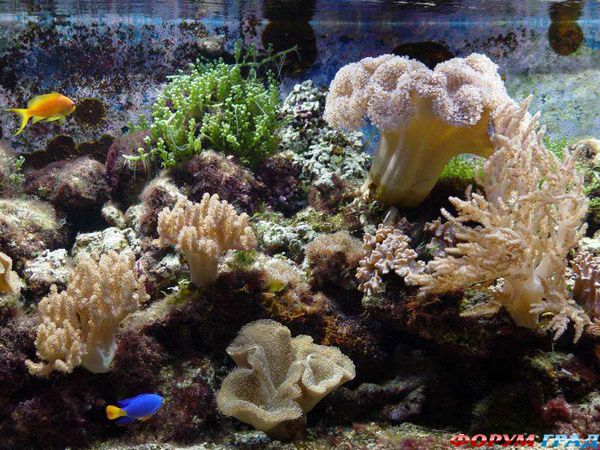 lithuania-travel-248