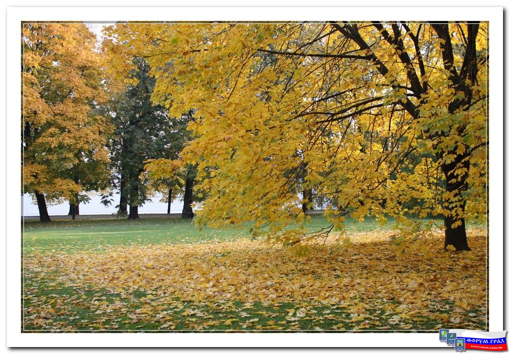 Коломенское. Осень.
