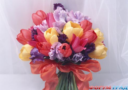 den rojdeniya2 172574