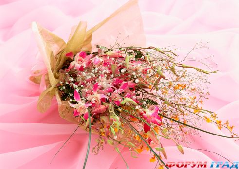 den rojdeniya 909653