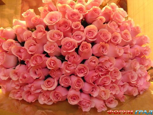 nestandartnaia svadba.jpg8