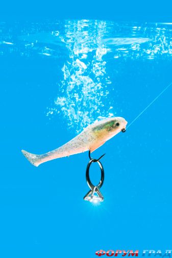 predlojenie ruki i serdca 18