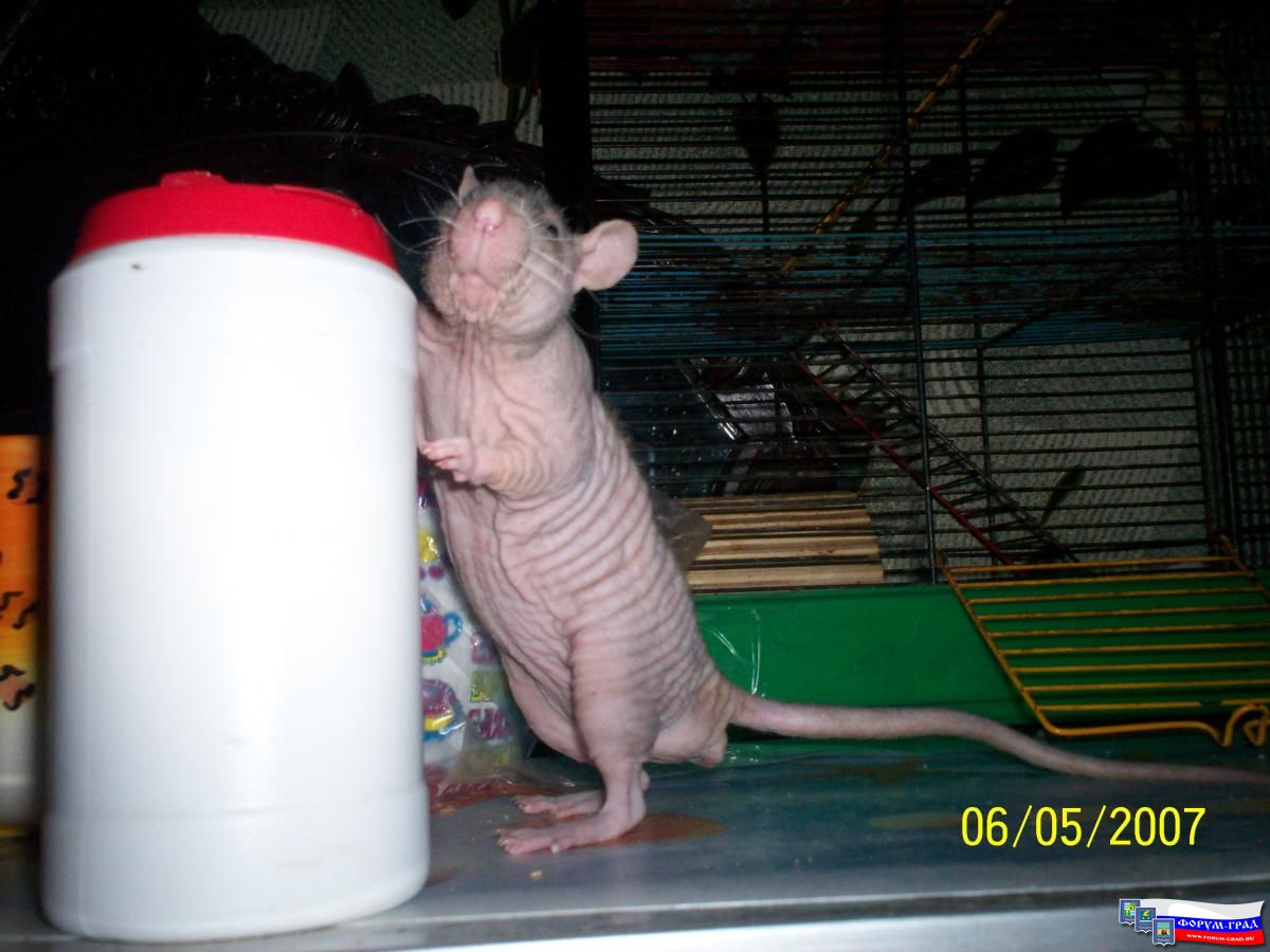 меняю бочку соли на канистру молока