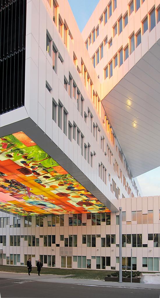 statoil-regional-and-international-offices-10