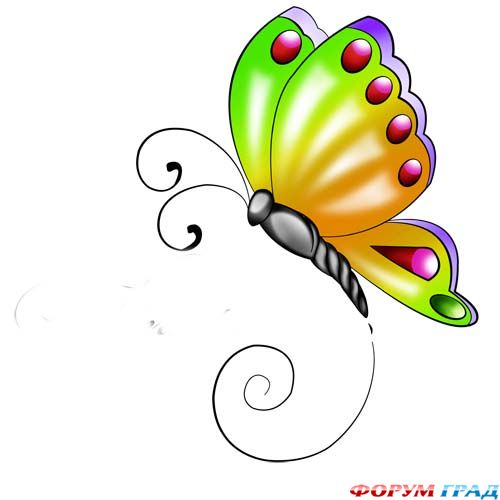 butterfly