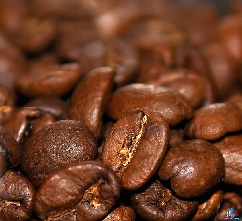 Клуб любителей кофе