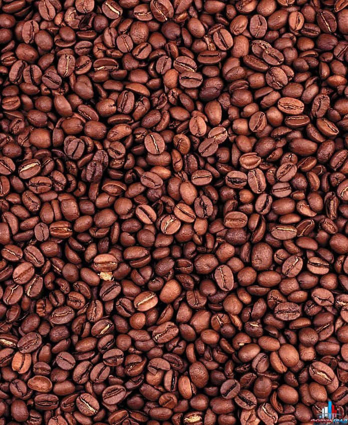 клуб любителей кофе