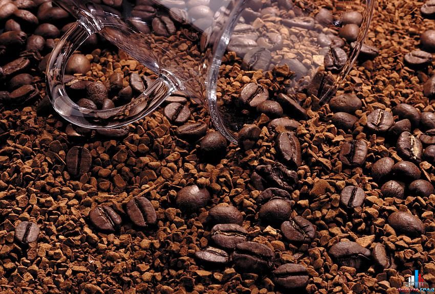 клуб любителей кофе