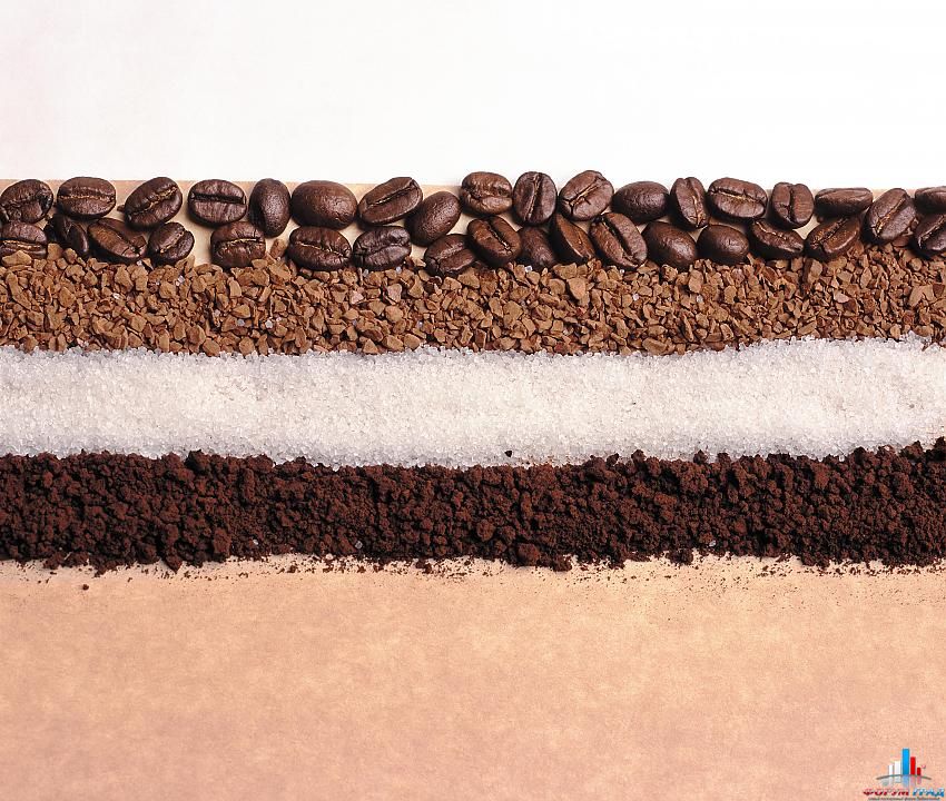 клуб любителей кофе