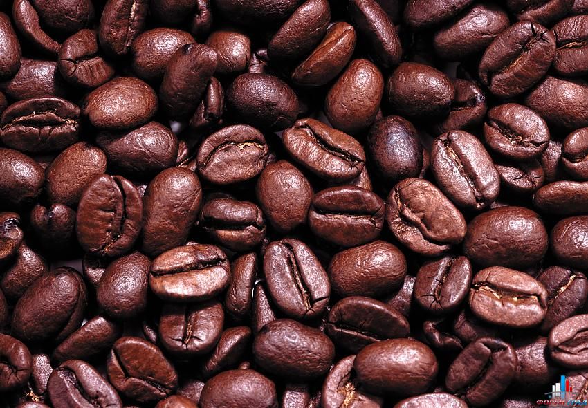 клуб любителей кофе