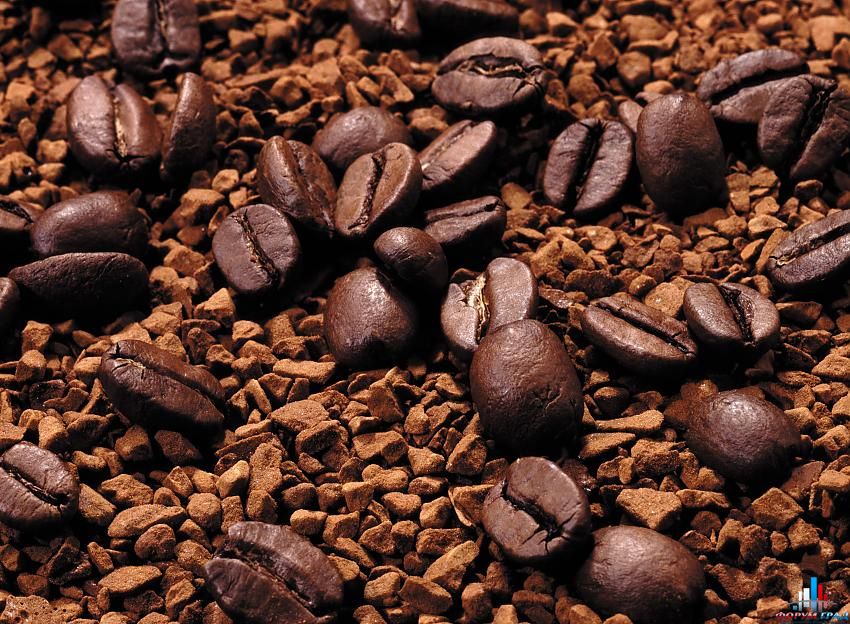 клуб любителей кофе