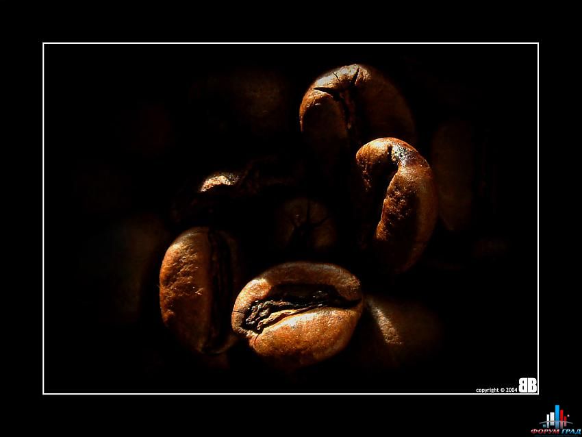 клуб любителей кофе