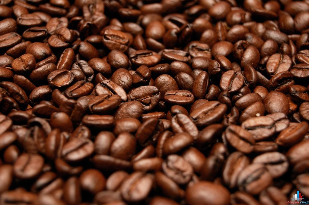 клуб любителей кофе