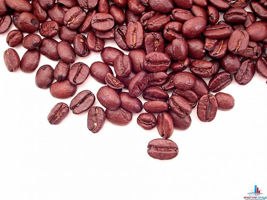 клуб любителей кофе