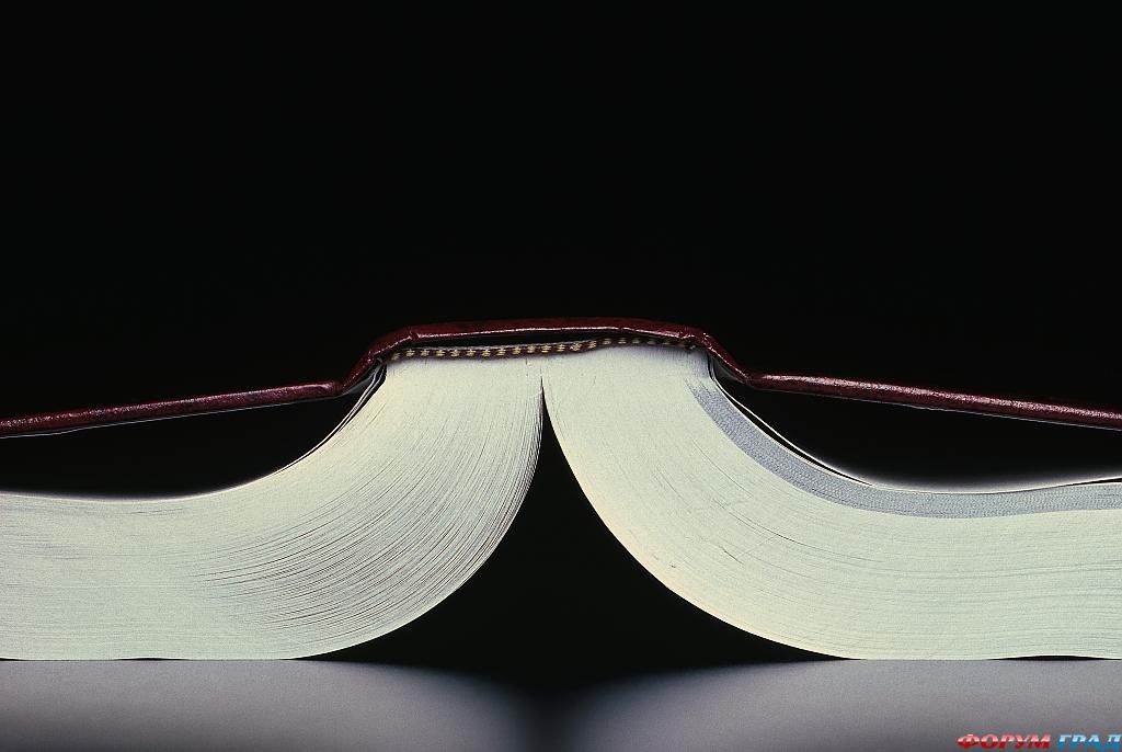 Образование фото