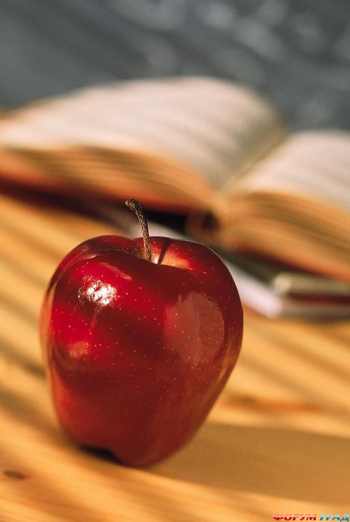 обучение фото