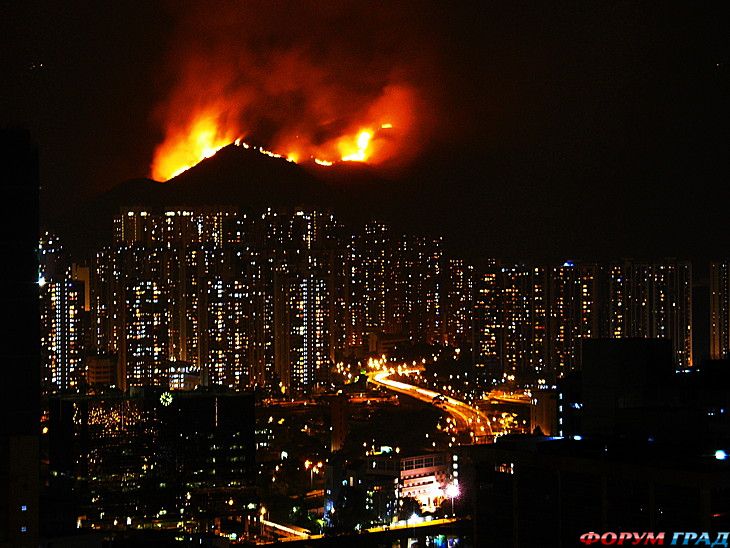 photo 12484230 135852 29785113 main 730x550