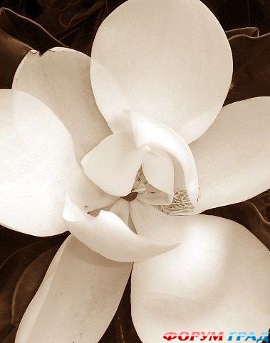 photo 12492888 135852 29812381 main 730x550